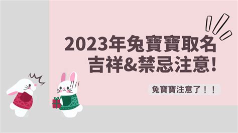 2023兔年寶寶取名 車牌 梗圖